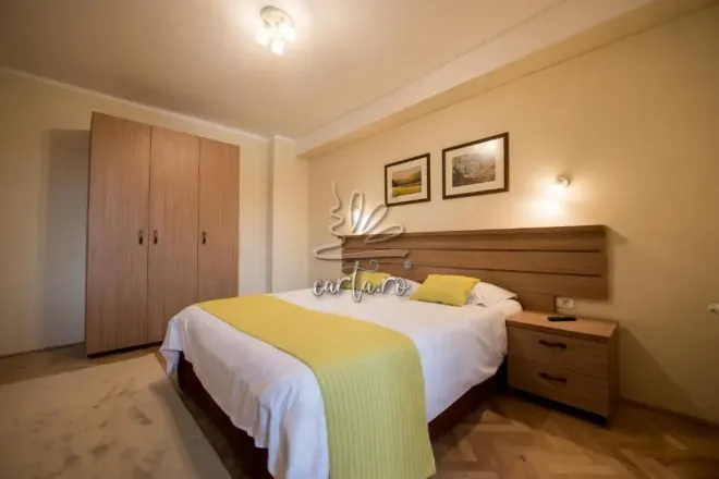 Vila NICOPOLE ART & WINE DIN BRAȘOV