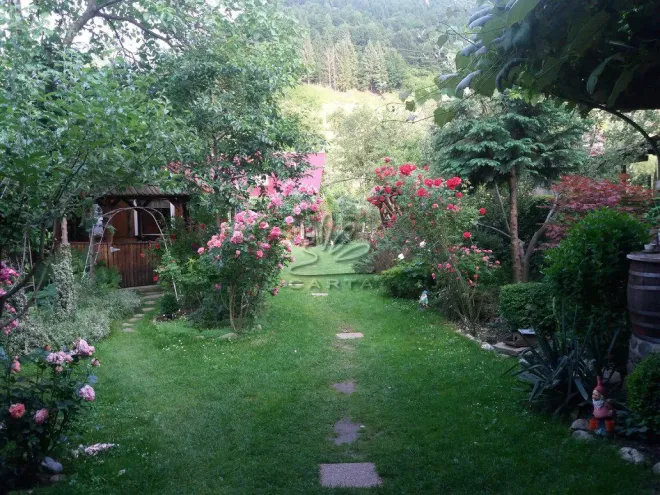 Casa de Vacanță VIDRIGHIN